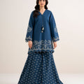 BulBul Embroidered -2pc
