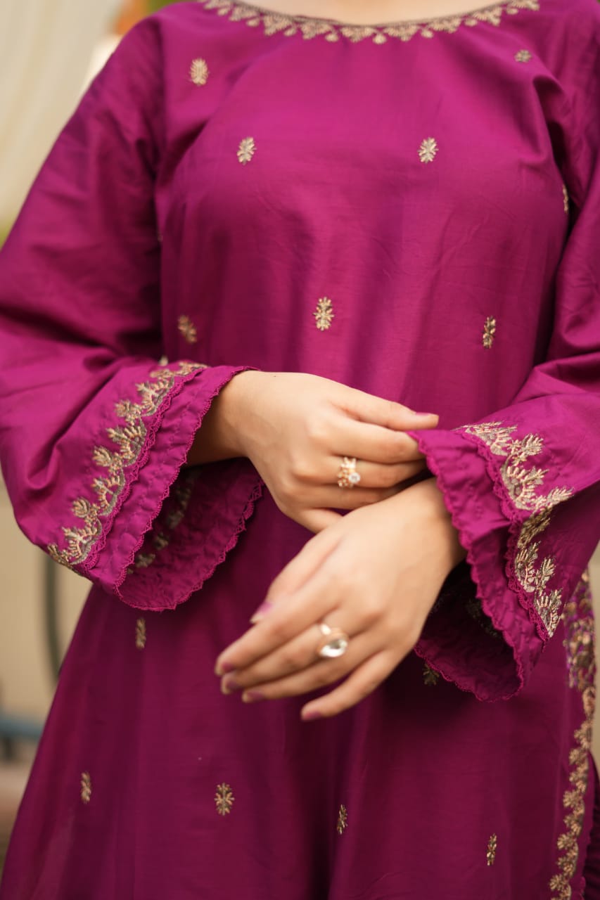 Sapna Embroidered - 2pieces