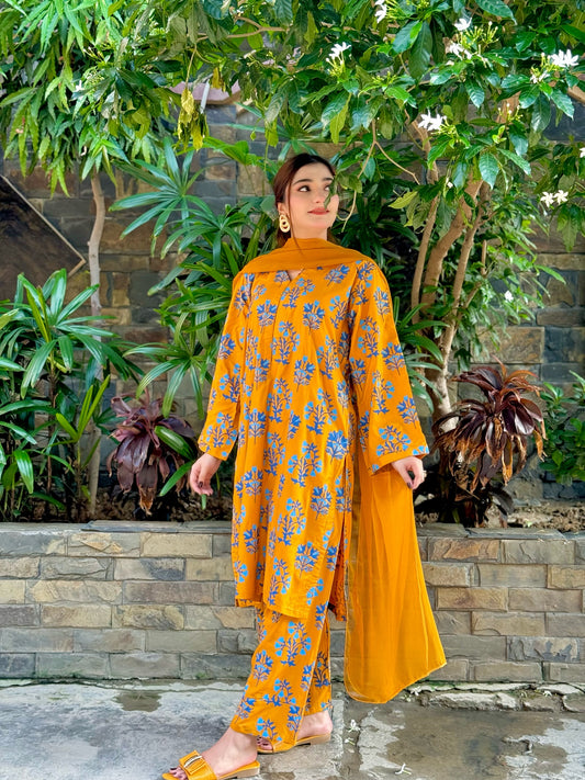 Maryam nawaz 2pcs Ca_closet