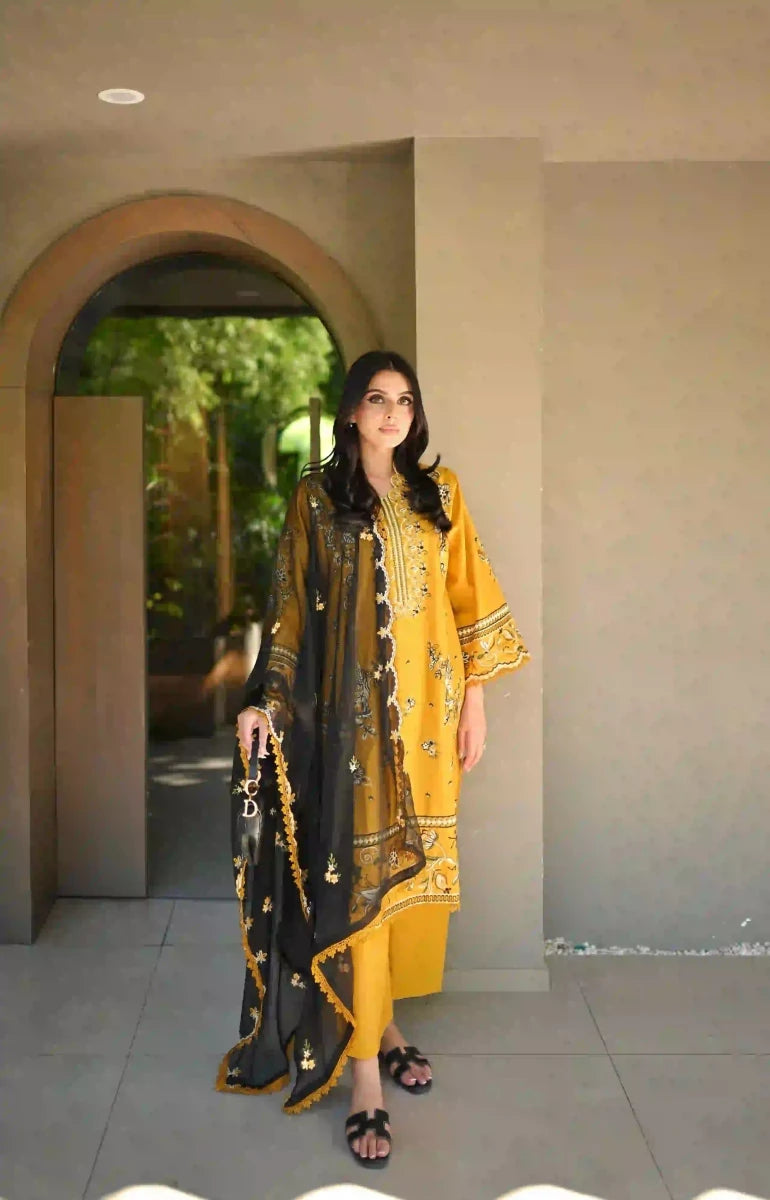 Gul naaz - 3pc - Chaudhary Arts