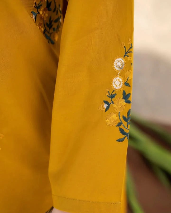 Myra Embroidered 3pc